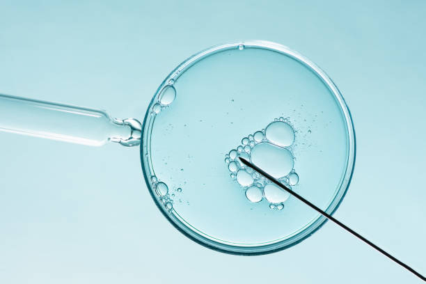 Infertility evaluation at Purva Hospital